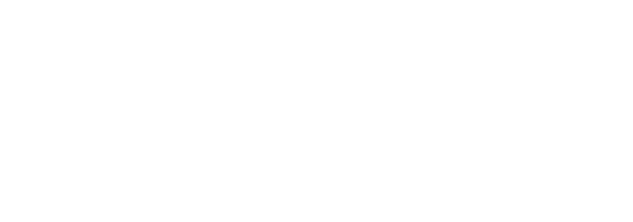 ThinkVision Consulting of Florida LLC